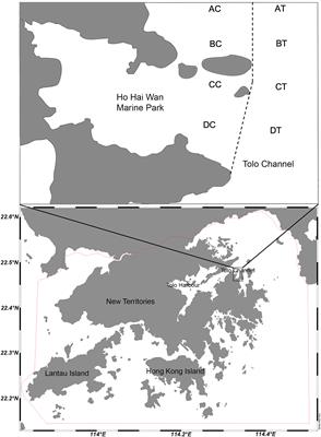 Impact of and recovery from seabed trawling in soft-bottom benthic communities under natural disturbance of summer hypoxia: A case study in subtropical Hong Kong